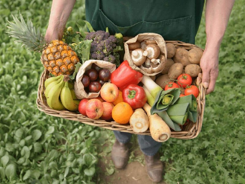 Sử dụng thực phẩm hữu cơ an toàn cho sức khỏe