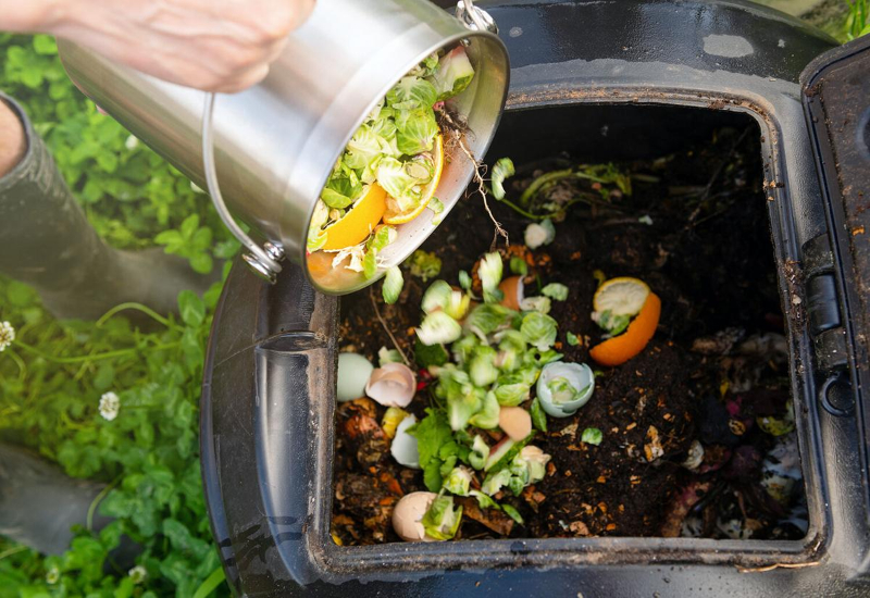 Hãy xử lý thức ăn thừa bằng cách tái chế thành phân ủ