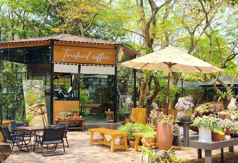 mở quán cà phê sân vườn