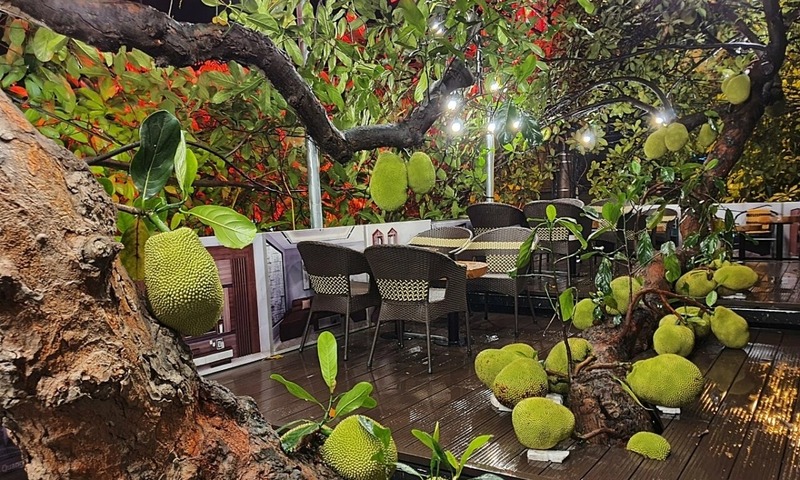 mở quán cà phê sân vườn
