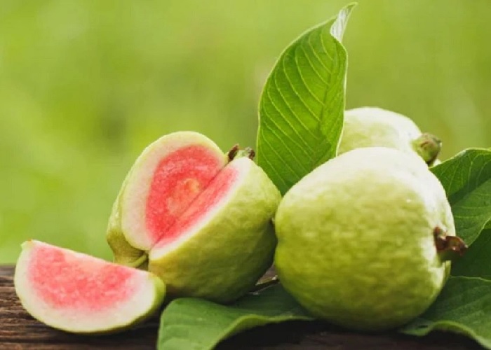 5 giá trị dinh dưỡng của ổi nhất định bạn cần biết 4 Nên ăn 1 lượng ổi vừa phải mỗi ngày