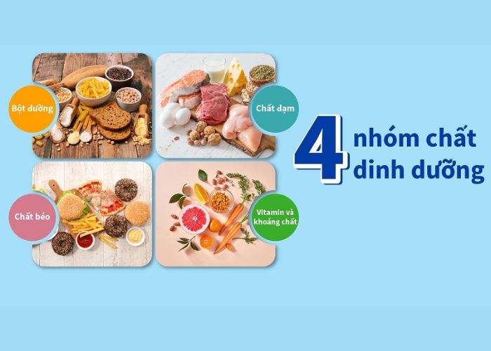 khau-phan-hoc-sinh-cap-2