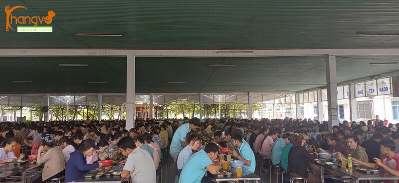 tieu chi danh gia suat an cong nghiep 5