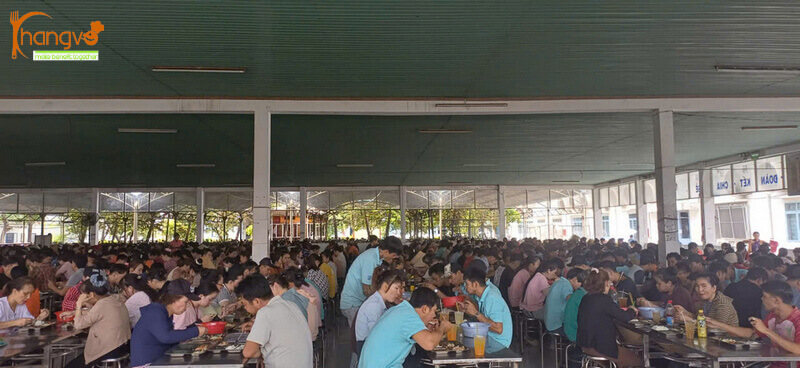 Suất ăn dành cho công nhân tại nhà máy, xí nghiệp
