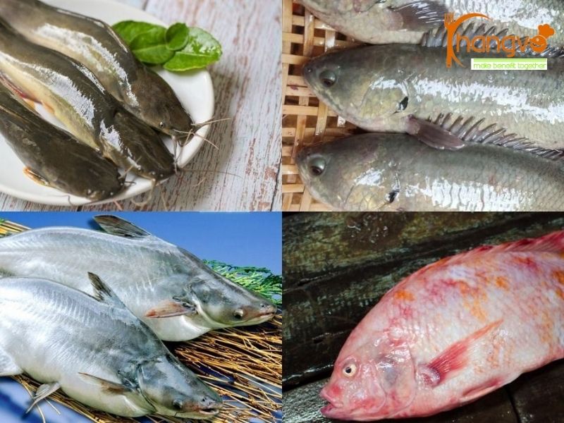 Gợi ý các loại cá phổ biến và kinh tế cho bếp ăn tập thể