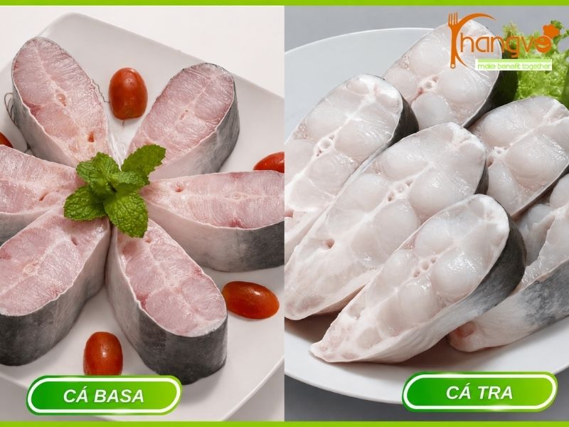Bảng so sánh nhanh các loại cá cho suất ăn công nghiệp