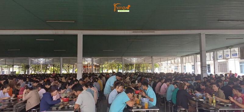 Dịch Vụ Cung Cấp Suất Ăn Công Nghiệp KCN Sóng Thần 1 Dịch vụ suất ăn công nghiệp tại KCN Sóng Thần